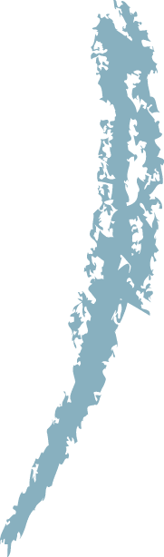 Polygon